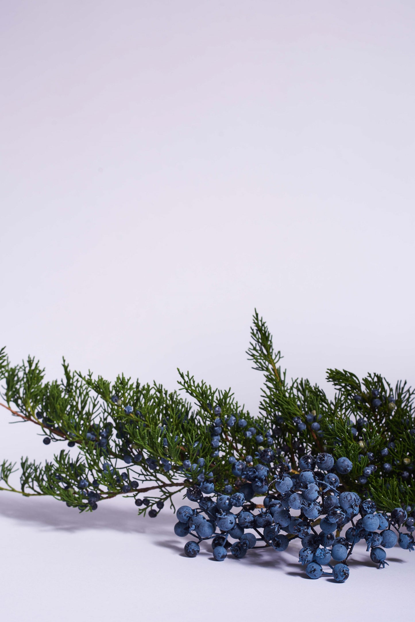 Celeste and Blue